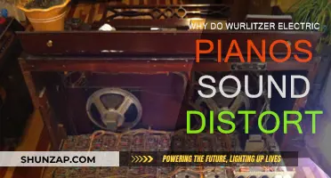 Unveiling the Distortion in Wurlitzer Electric Pianos