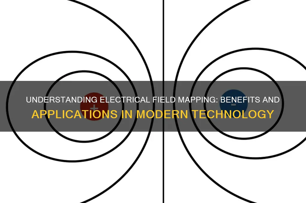 why do you use electrical field mapping