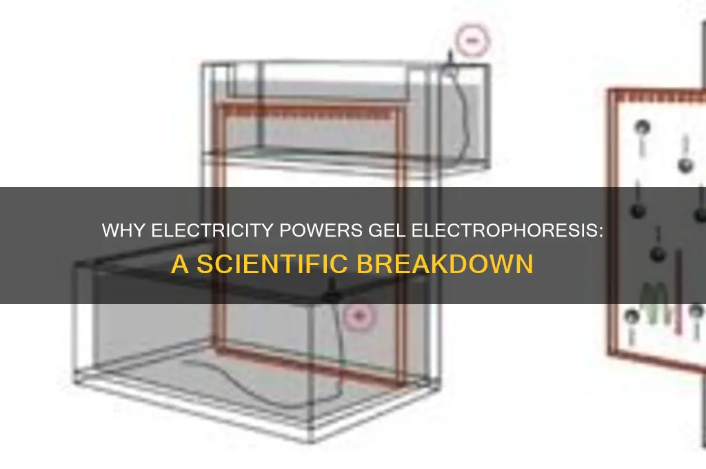 why do you use electricity to run the gel