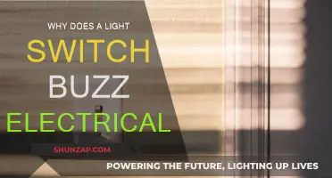 Buzzing Light Switch: Electrical Fault or Easy Fix?