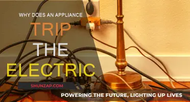 Electric Appliances Tripping: What's the Reason?