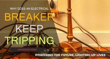 Electrical Breaker Tripping: What's the Problem?