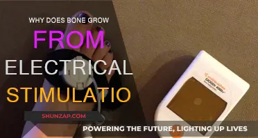 Electricity's Role in Bone Growth: Unlocking the Mystery
