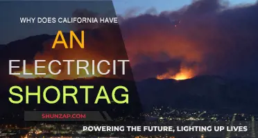 California's Electricity Crisis: Why the Golden State is Dark