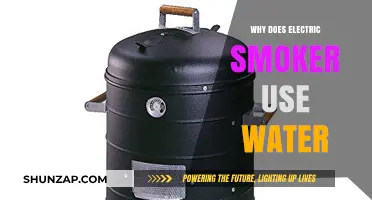 Why Electric Smokers Use Water: Benefits and Essential Tips
