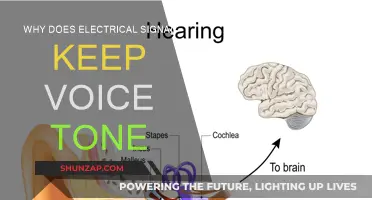Electrical Signals: Preserving Voice Tone