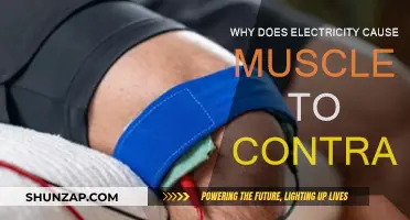 Electricity's Power: Muscle Contractions Explained