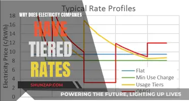 Electricity Companies Tiered Rates: Strategies to Maximize Profits