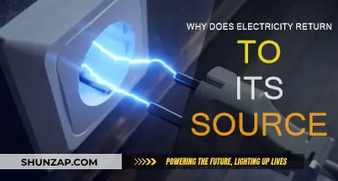 Electricity's Return Journey: The Source Attraction