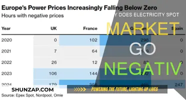 Understanding Negative Electricity Prices: Market Dynamics Explained