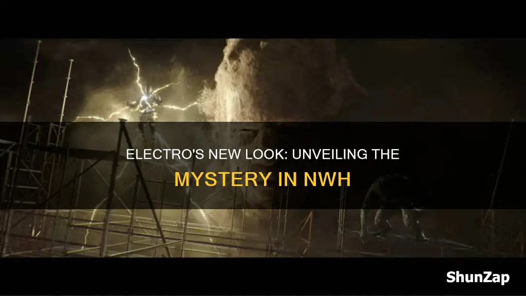 why does electro look different in nwh