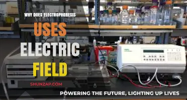 How Electric Fields Drive Electrophoresis: A Scientific Explanation