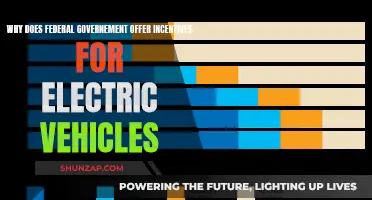 Green Revolution: Federal Incentives for Electric Vehicles Explained