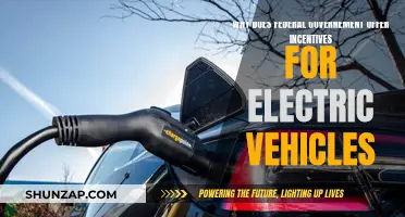 Federal Incentives for Electric Vehicles: Why?