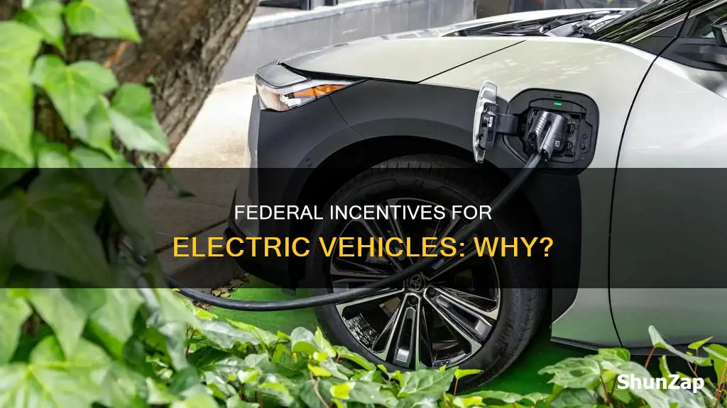 why does federal governement offer incentives for electric vehicles