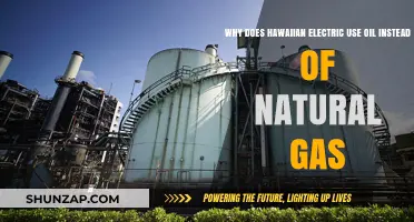 Why Hawaiian Electric Relies on Oil Over Natural Gas: Explained