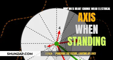 Heart's Electrical Axis: Standing Up Changes Heart's Orientation