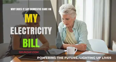 Understanding Domestic Care Charges on Your Electricity Bill Explained