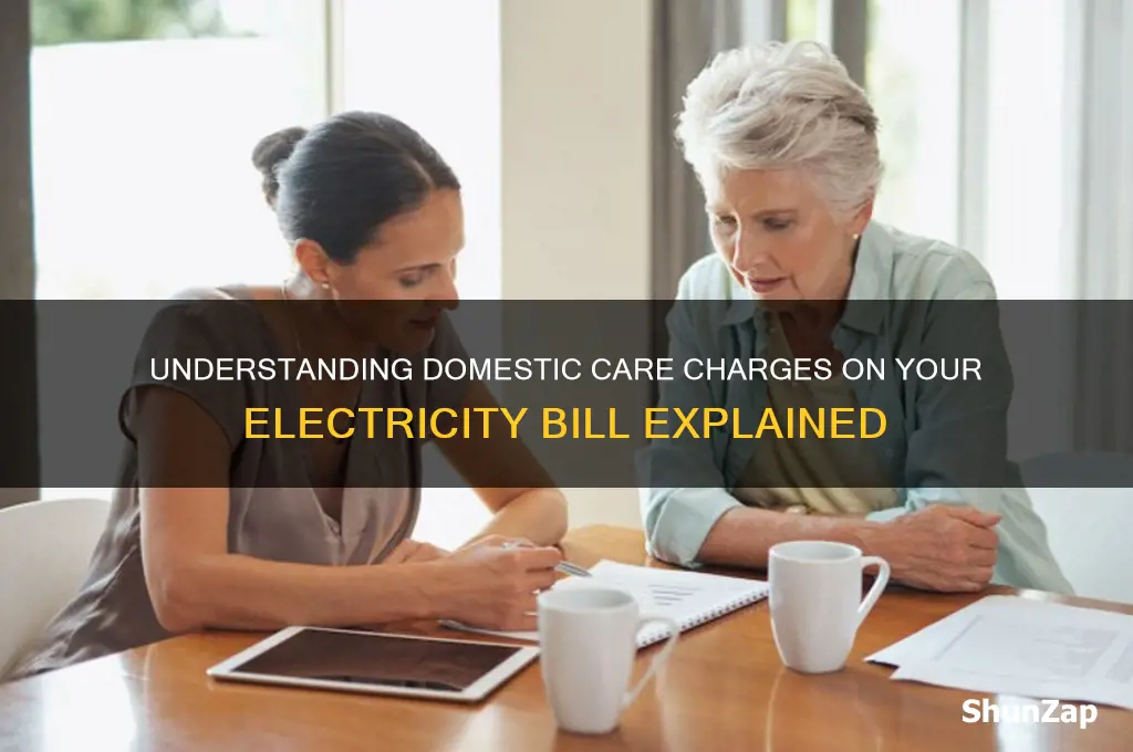 why does it say domestic care on my electricity bill
