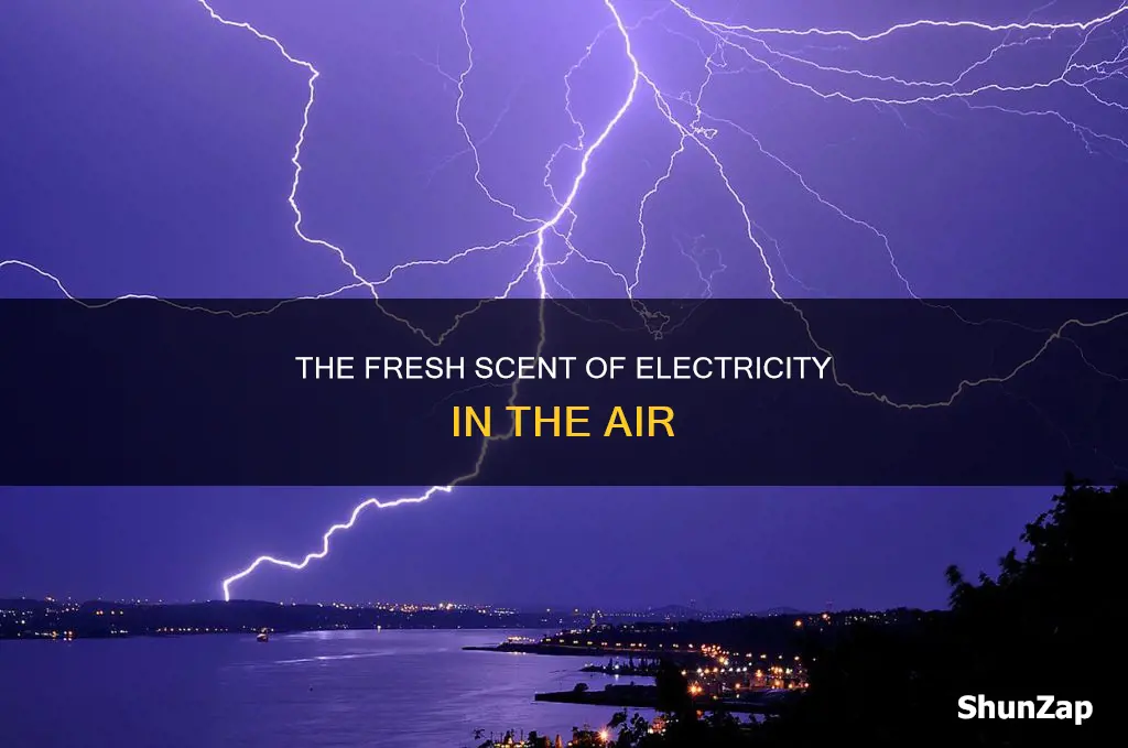 why does it smell like electricity outside