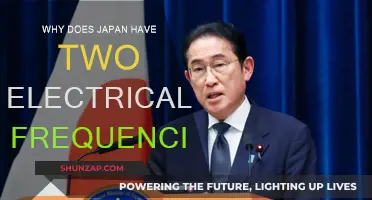 Japan's Electrical Frequencies: A Tale of Two Standards