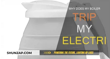 Electric Boiler Trips: Why Does This Happen?