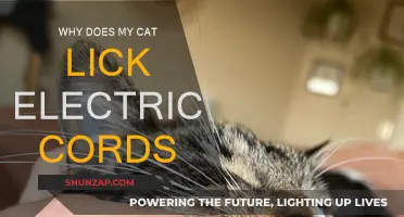 Cat's Strange Behavior: Why Do They Lick Electric Cords?