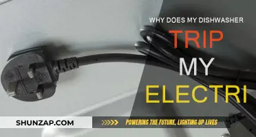 Dishwasher Tripping Electrics: What's the Problem?