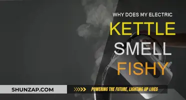 Electric Kettle Odor: Why the Fishy Smell?