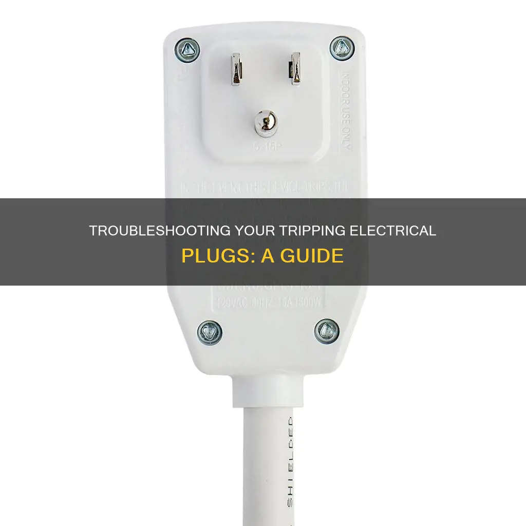 why does my electric plug keep tripping