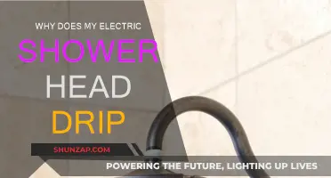 Fixing a Dripping Electric Shower Head