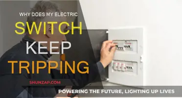 Troubleshooting Electric Switch Tripping Issues