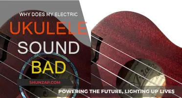 Electric Ukulele Sounds Bad: What's Wrong?