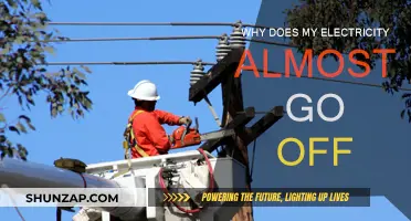 Troubleshooting Power Outages: Why Electricity Fails