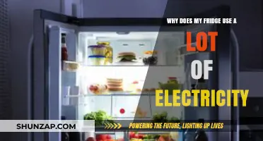 Why Your Fridge Consumes High Electricity: Causes and Solutions