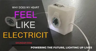 Electric Heart: Why Do I Feel This Way?