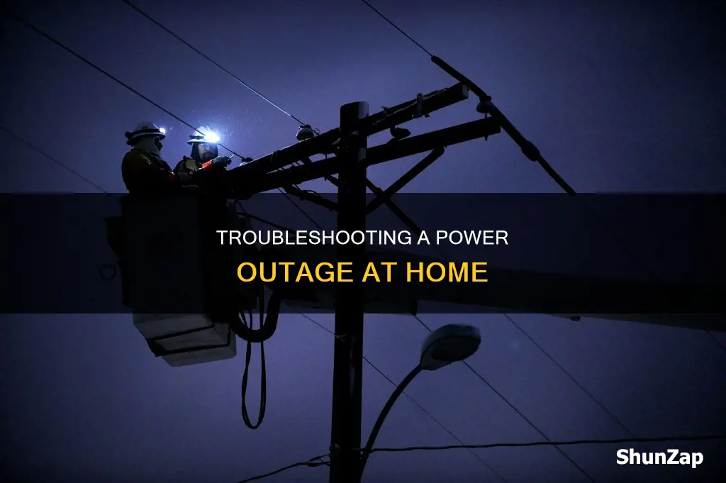 why does my house have no electricity
