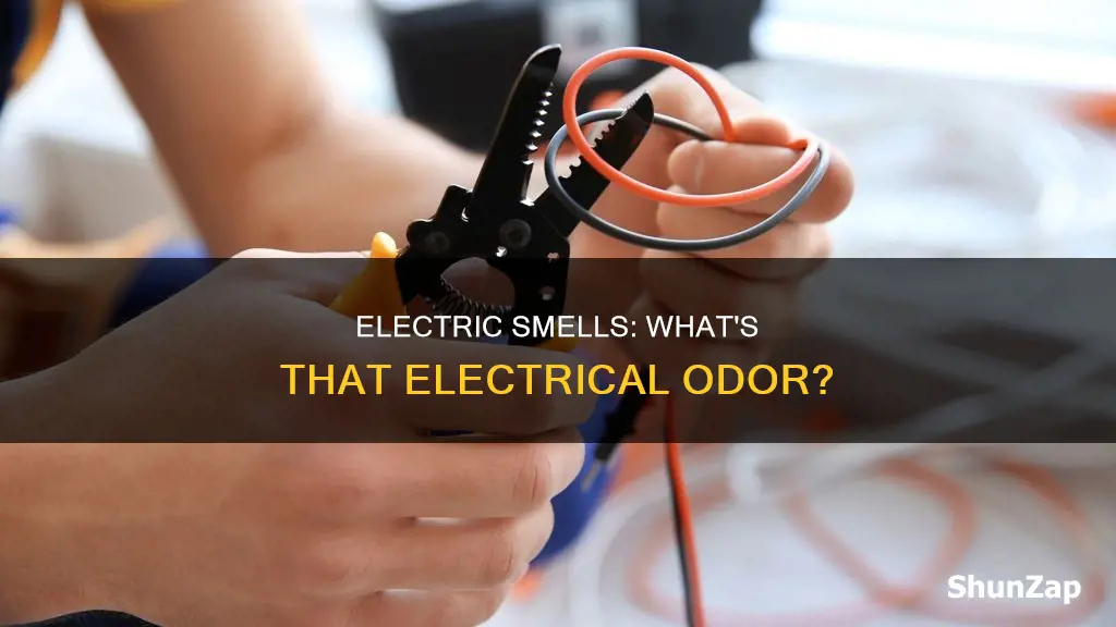 why does my house smell like electricity