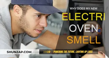 Electric Oven Odor: What's That Smell?