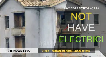 The Darkened State: North Korea's Electricity Mystery