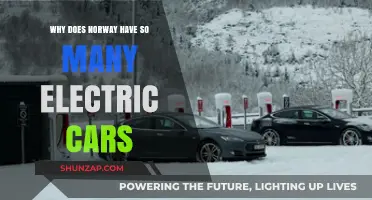 Norway's Electric Revolution: Uncovering the Secrets Behind Its EV Dominance
