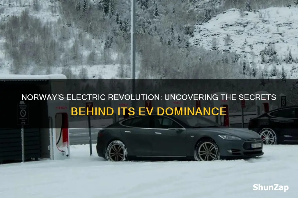 why does norway have so many electric cars