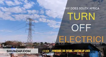 South Africa's Power Outage Mystery