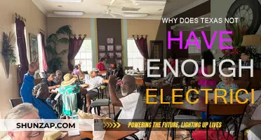Texas' Power Grid: Why It's Failing