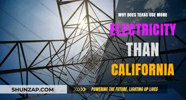Texas vs. California: Unraveling the Lone Star State's Higher Electricity Consumption
