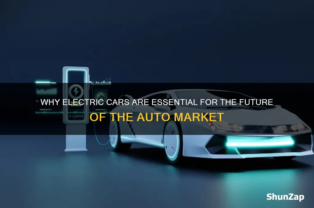 why does the automobil market need electric cars