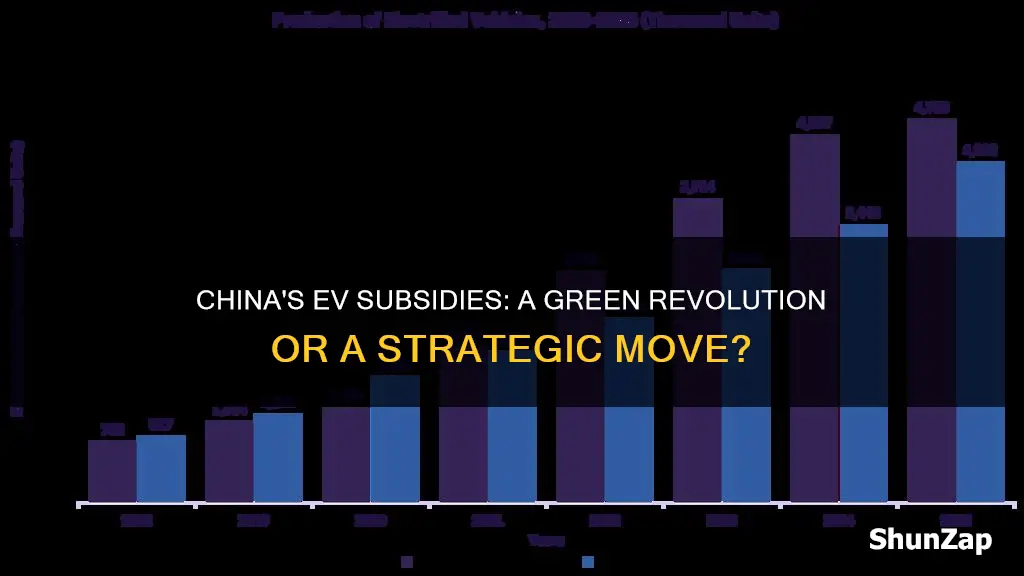 why does the chinese government subsidise electric vehicles