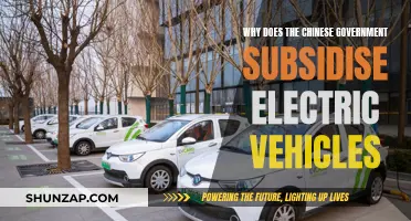 Electric Vehicle Revolution: China's Governmental Subsidies Explained