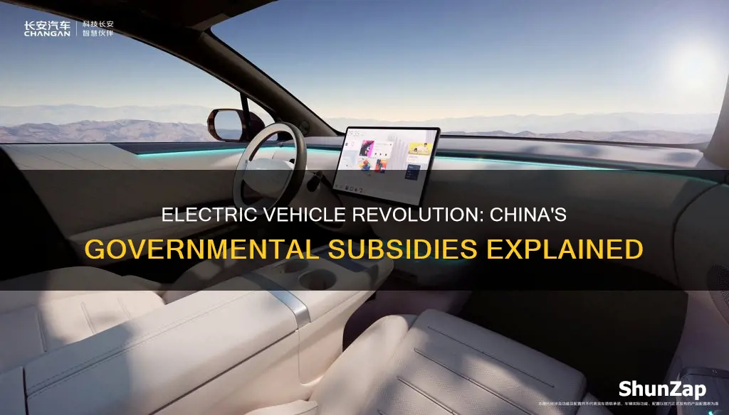 why does the chinese government subsidise electric vehicles