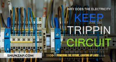 Circuit Overload: Why Your Electricity Trips